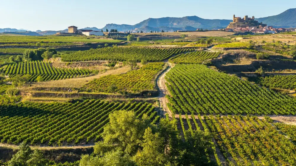 Cidade vinícola de La Rioja