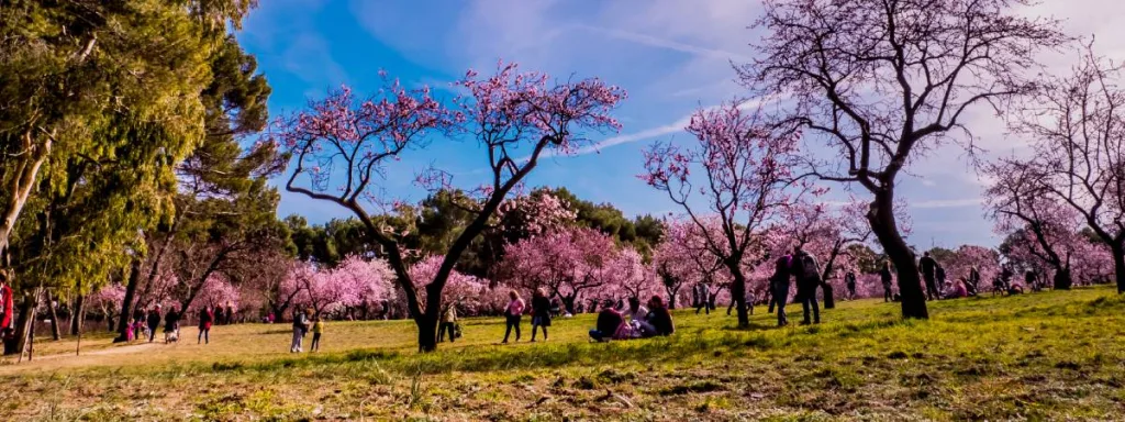 Secret Gardens of Madrid